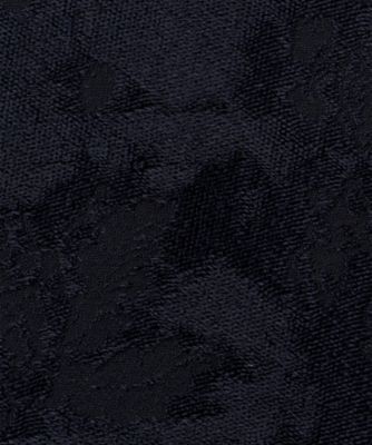 Ｐｌａｎｔ　ｊａｃｑｕａｒｄ　ＳＨ　ＪＫ