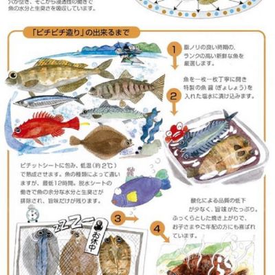 ★【産直】ふじと屋９点セット
