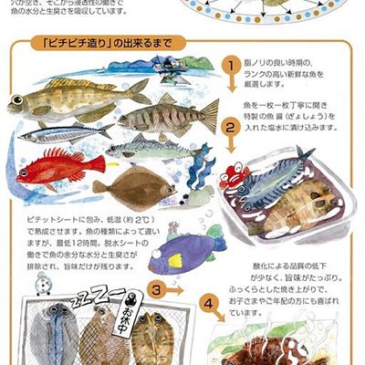 ★【産直】北海道干物６点セット