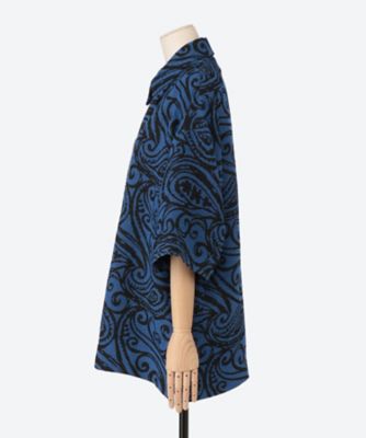 Ｂｉｇ　Ｐａｉｓｌｅｙ　Ｐｕｌｌｏｖｅｒ