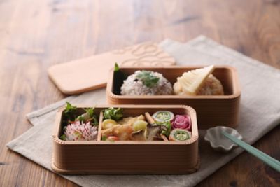 OSK お弁当箱 1段 まるごと冷凍弁当 500ml 2個セット タイト
