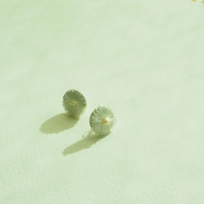 ピアス　ドゥミ　ホワイト