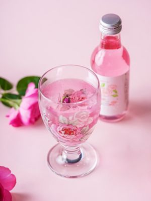 ＜佐賀/Rose＞★【産直】スパークロゼ９本セット