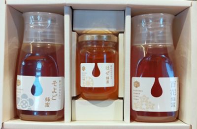 ＜岐阜/堀養蜂園＞★【産直】野山のはちみつ３本セット