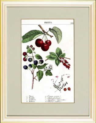 ＜Orangerie Collection＞★【１点物】メアリー．シャルロット．Ｙより「ＦＲＵＩＴＳ」Ｃｈｅｒｒｙ，Ｂｒａｍｂｌｅ　植物画