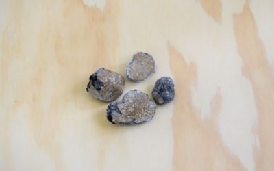 ★冷凍サマートリュフ（５０ｇ×２個　）アンジェロッツィ