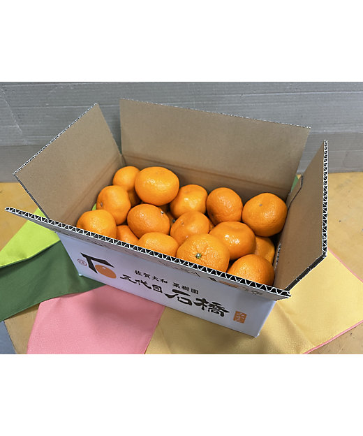 ＜三越伊勢丹/公式＞ 佐賀県産蔵入りみかん 果物・冷凍フルーツ画像