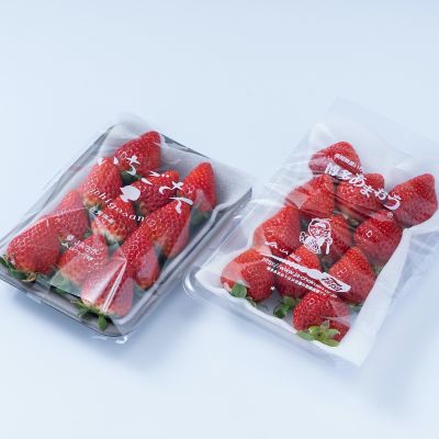 ＜福岡/南国フルーツ＞★【産直】九州産いちご食べ比べ