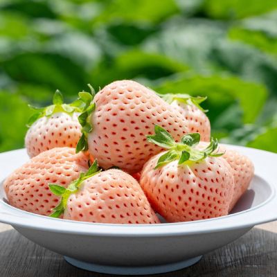 ＜佐賀/清瀬農園＞★【産直】佐賀県産　淡雪