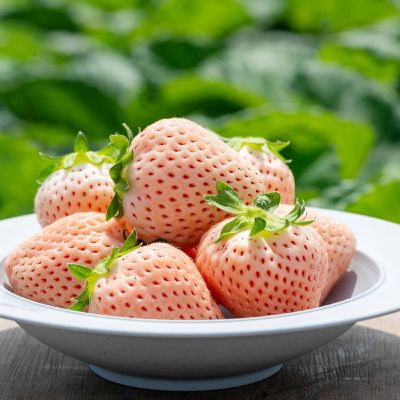 ＜佐賀/清瀬農園＞★【産直】佐賀県産　淡雪３５０ｇ