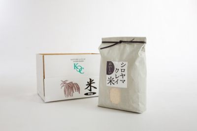 ★【産直】シロヤマクレイ米　５ｋｇ