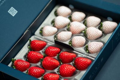 ☆【産直】パールホワイト＆さがほのか 紅白いちご食べ比べ | 佐賀