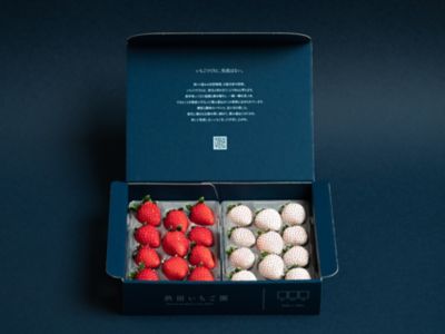 ☆【産直】パールホワイト＆さがほのか 紅白いちご食べ比べ | 佐賀