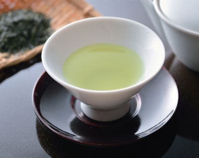 煎茶 50本 - 茶