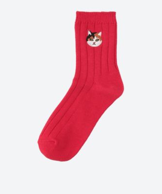三毛猫　ソックス