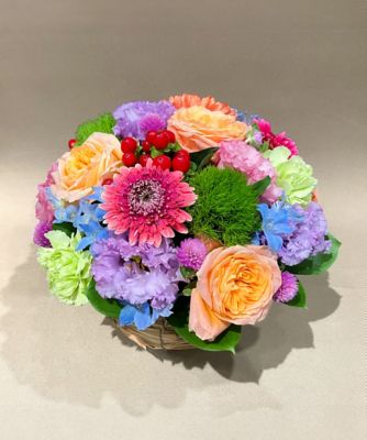 第一園芸/ダイイチエンゲイ 季節のセレクトアレンジ／Ｍ（お届け時期により花材がかわるお楽しみアレンジメント）