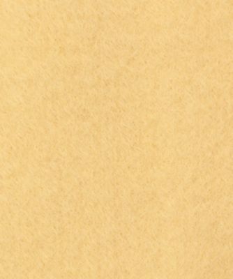 ★ニードルシャギーロング丈パーカージャケット（クローバー）