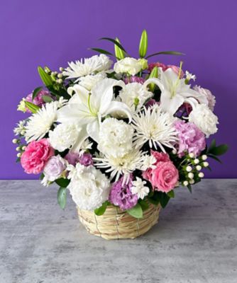 第一園芸/ダイイチエンゲイ お悔み・お供え花弔事用供花　生花アレンジメント「白珪」