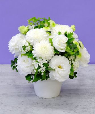 第一園芸/ダイイチエンゲイ お悔み・お供え花弔事用供花　生花アレンジメント「清幽」