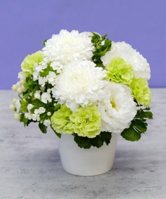 第一園芸/ダイイチエンゲイ お悔み・お供え花弔事用供花　生花アレンジメント「白妙」