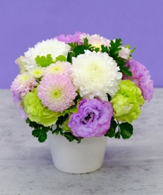 第一園芸/ダイイチエンゲイ お悔み・お供え花弔事用供花　生花アレンジメント「紫雲」