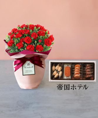 第一園芸/ダイイチエンゲイ 【母の日】【Ｄ０２】カーネーション赤＆＜帝国ホテル＞クッキー詰合せセット　５月６日（水・振）～５月１０（日）お届け