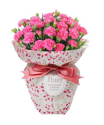 【母の日】【Ｄ０３】カーネーション　ピンク＆＜パティスリー　キハチ＞焼き菓子アソートセット　５月６日（水・振）～５月１０（日）お届け