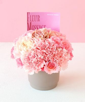 第一園芸/ダイイチエンゲイ 【母の日】【Ｄ０８】生花アレンジメント「メール」　５月６日（水・振）～５月１０（日）お届け