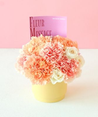 第一園芸/ダイイチエンゲイ 【母の日】【Ｄ０９】生花アレンジメント「シャルマン」　５月６日（水・振）～５月１０（日）お届け