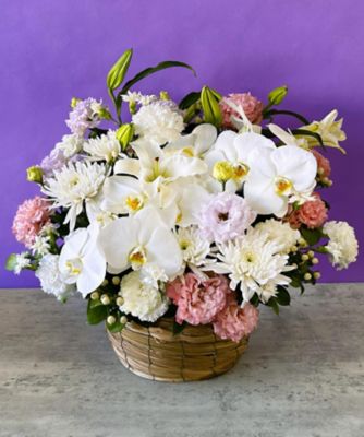 ＜第一園芸＞お悔み・お供え花弔事用供花　生花アレンジメント「白詠」はくえい