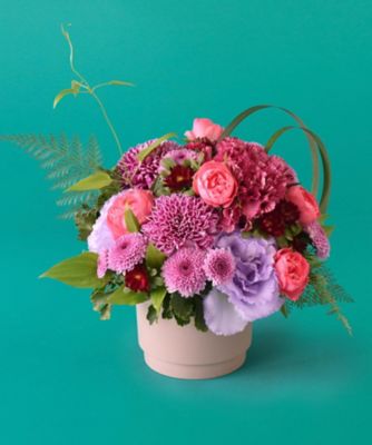 第一園芸/ダイイチエンゲイ 【敬老の日】【Ｄ４】生花アレンジ「花菊」　９月１９日（土）～９月２１日（月・祝）お届け