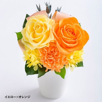 Belles Fleurs /ベル・フルール バラとリボン