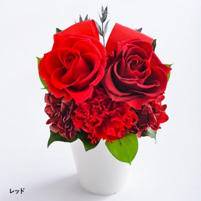 Belles Fleurs /ベル・フルール バラとリボン