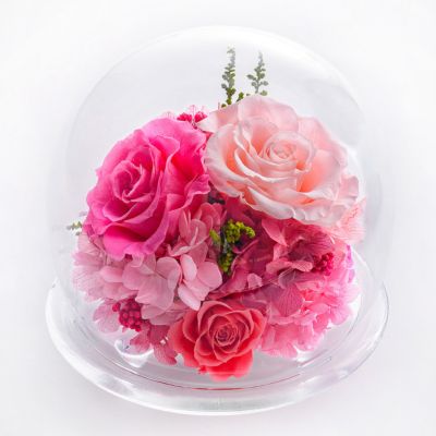 ＜Belles Fleurs ＞ガラスドームＬ