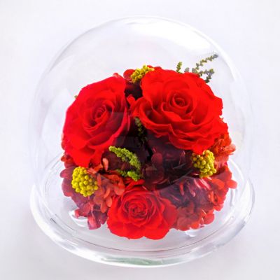 ＜Belles Fleurs ＞ガラスドームＬ