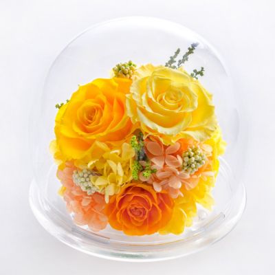 Belles Fleurs /ベル・フルール ガラスドームＬ