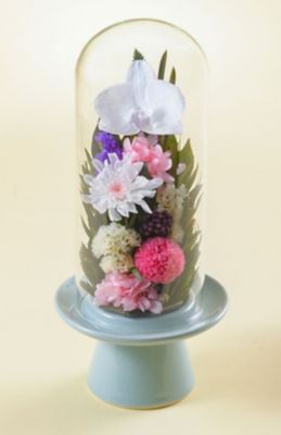 Belles Fleurs /ベル・フルール 天目