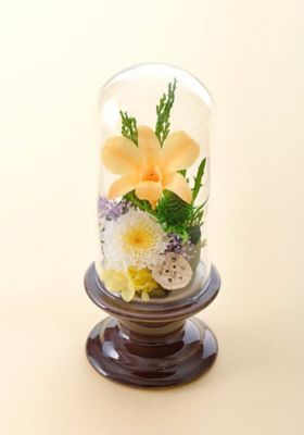 Belles Fleurs /ベル・フルール 鼓(つづみ)