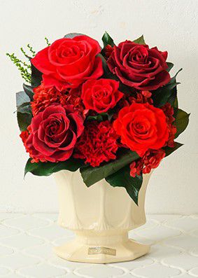 ＜Belles Fleurs ＞パルマ　レッド