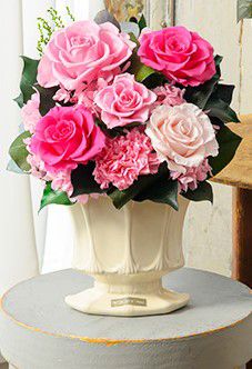 ＜Belles Fleurs ＞パルマ　ピンク