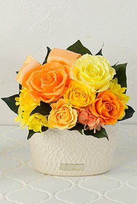 ＜Belles Fleurs ＞キャンティ　イエロー