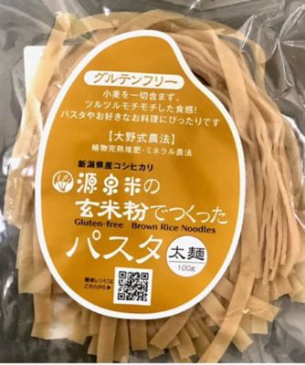 【越品】源泉米　玄米パスタ　太麺／細麺　１００ｇ（各５×２　１０袋）