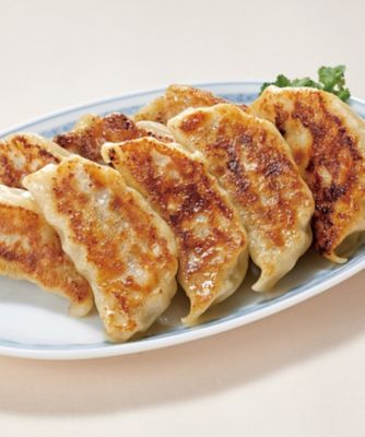 １９０１０ 銀座 天龍 監修 餃子 三越伊勢丹オンラインストア 公式