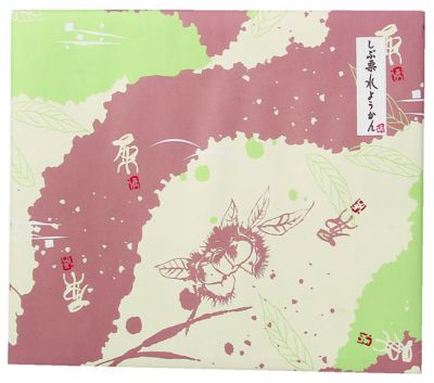 １２００１　岐阜＜恵那清月堂＞のしぶ栗水ようかん　１５個