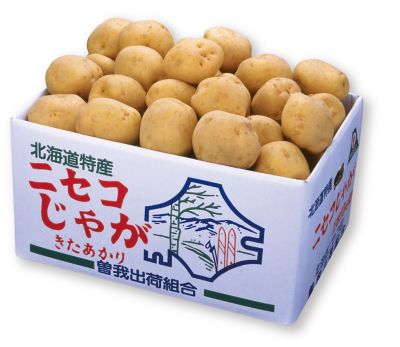 ２１０７２　１０ｋｇ　北海道ニセコ産　「きたあかり」