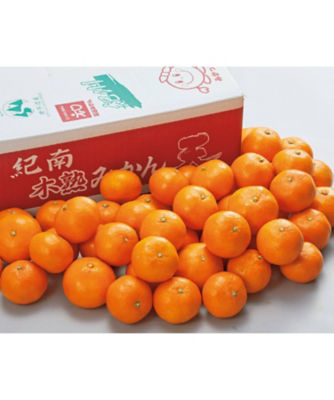 【SALE】三越伊勢丹オンラインストア 20300 和歌山県産みかん「天」 果物・冷凍フルーツ【三越伊勢丹/公式】