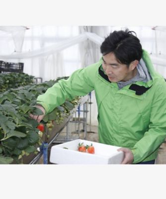 【越品】民蔵ふぁーむの越後姫　２月下旬以降お届け