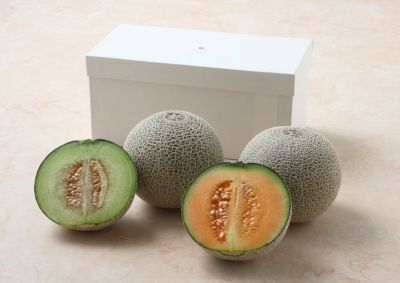 ＜三越伊勢丹/公式＞ SUN FRUITS/サン・フルーツ 熊本県産 赤肉メロン＆茨城県産 青肉メロン 果物・冷凍フルーツ【三越伊勢丹/公式】