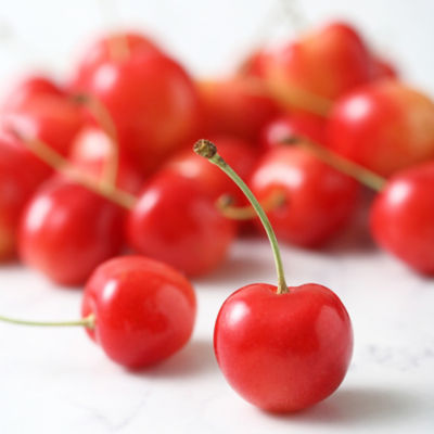 ＜三越伊勢丹/公式＞ SUN FRUITS/サン・フルーツ 山形県産 さくらんぼ 果物・冷凍フルーツ【三越伊勢丹/公式】