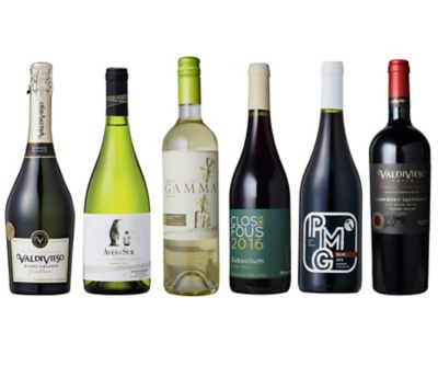 送料無料 チリ産ブドウ品種飲み比べ６本セット ワインセット の通販 伊勢丹オンラインストア